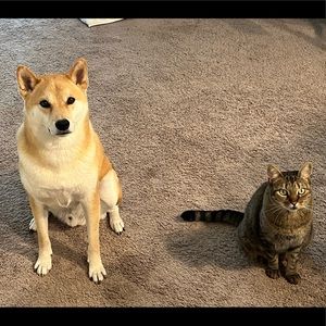 Meet your Posher, Francesca